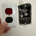 Tortue ou chameau ? Une illusion simple qui révèle en profondeur la manière dont votre esprit perçoit, interprète et construit la réalité