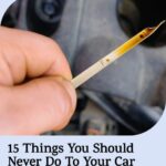 Trouvé au marché mais difficile à identifier : la rhubarbe, ce légume ancien qui déroute encore aujourd’hui