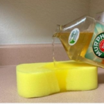 Nostradamus a prédit que ceux qui ont un chat à la maison vont…