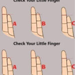 🖤 Ces “Doigts Noirs” Qui Sortent du Paillis…