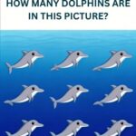 Combien y a-t-il vraiment de chaises ? Une illusion d’optique qui dévoile les mécanismes secrets de votre perception