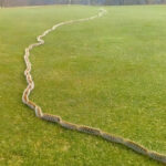 Ma grand-mère garde toujours la mayonnaise à température ambiante : tradition familiale ou risque invisible ? Ce que vous devez vraiment savoir