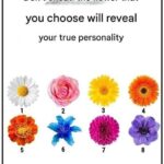 L’énigme des 6 œufs : pourquoi presque tout le monde se trompe (et ce que cela révèle sur notre cerveau)