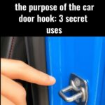 Le gingembre : allié naturel… mais pas pour tout le monde ? Comprendre ses bienfaits, ses limites et les situations où la prudence s’impose 🌿