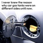 Ne jetez plus jamais cette partie de la banane : le secret méconnu qui transforme votre santé, votre maison et vos habitudes