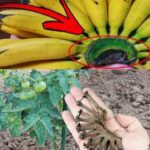 Pourquoi les trappes à essence sont-elles placées de différents côtés sur les voitures : une vérité cachée entre ingénierie, sécurité et logique industrielle