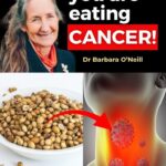 Points rouges sur la peau : ce que ces petites marques peuvent vraiment signifier