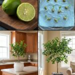 Ce que la position de vos jambes en dit vraiment sur vous : psychologie du langage corporel, posture assise et mécanismes invisibles de la personnalité