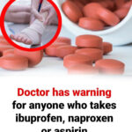 Pourquoi De Minuscules Vers Blancs Sortent Des Fraises Dans L’Eau Salée : La Vérité Biologique Derrière Un Phénomène Qui Surprend