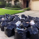 La Phalène Qui Devient Mur : Illusion, Évolution Et La Puissance Du Camouflage Parfait