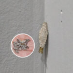 Quand le deuil rencontre la cruauté : amour, héritage et résilience face à l’inimaginable