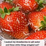 Le Café Noir Sans Sucre : Effets Scientifiques Sur Le Cerveau, Le Corps Et L’Équilibre Métabolique