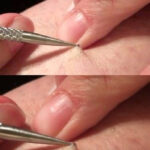 Ne Sous-Estimez Jamais les Plateaux des Friperies : 10 Façons Brillantes de Leur Donner Une Nouvelle Vie Dans Votre Maison