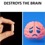 La Tisane de Molène : Une Plante Ancienne Pour Soutenir la Respiration, Apaiser les Voies Respiratoires et Favoriser l’Élimination du Mucus