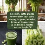 Combien de carrés voyez-vous vraiment ? Décryptage d’une illusion fascinante et de ce qu’elle révèle sur votre manière de penser