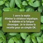 Poudre de Citron Maison : Le Secret Naturel Qui Sublime Vos Recettes, Purifie Votre Corps et Transforme Votre Cuisine