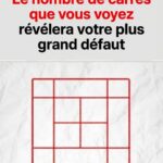 Le céleri : la plante puissante qui soutient la purification interne, régénère la peau et favorise l’équilibre du foie, des reins et du pancréas