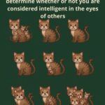 Combien de cornichons faut-il vraiment sur un burger : une simple question qui révèle une psychologie profonde du choix, du contrôle et du plaisir