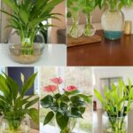 Transformer des colliers de fausses perles en branches décoratives : une obsession esthétique entre poésie visuelle, créativité et apaisement mental