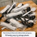 Feuilles de corossol : un trésor naturel aux bienfaits puissants pour la santé, le bien-être et l’équilibre du corps