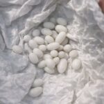 Ce que les poils du menton révèlent sur votre santé : un signal discret mais profondément révélateur