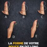 Mystère dans la grange : ces sphères remplies de liquide qui racontent l’histoire oubliée de la sécurité et de l’ingéniosité humaine