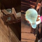 Le pouce : ce petit doigt qui en dit long sur votre personnalité, votre santé et votre manière de vivre