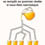 Combien de chats voyez-vous vraiment ? Ce que cette image révèle sur votre cerveau, votre attention et votre intelligence visuelle