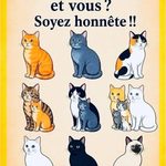 Alerte : 8 types de médicaments liés à un risque accru de démence